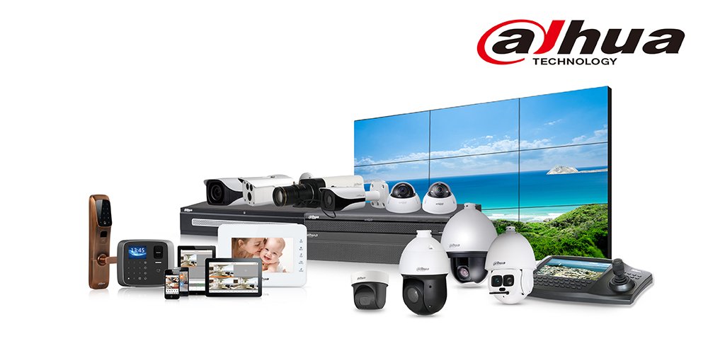 Videosorveglianza professionale